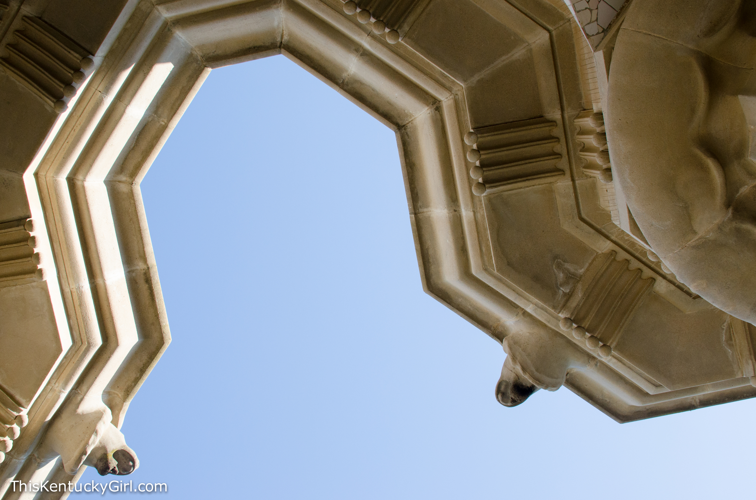 Day 341 web-76.jpg