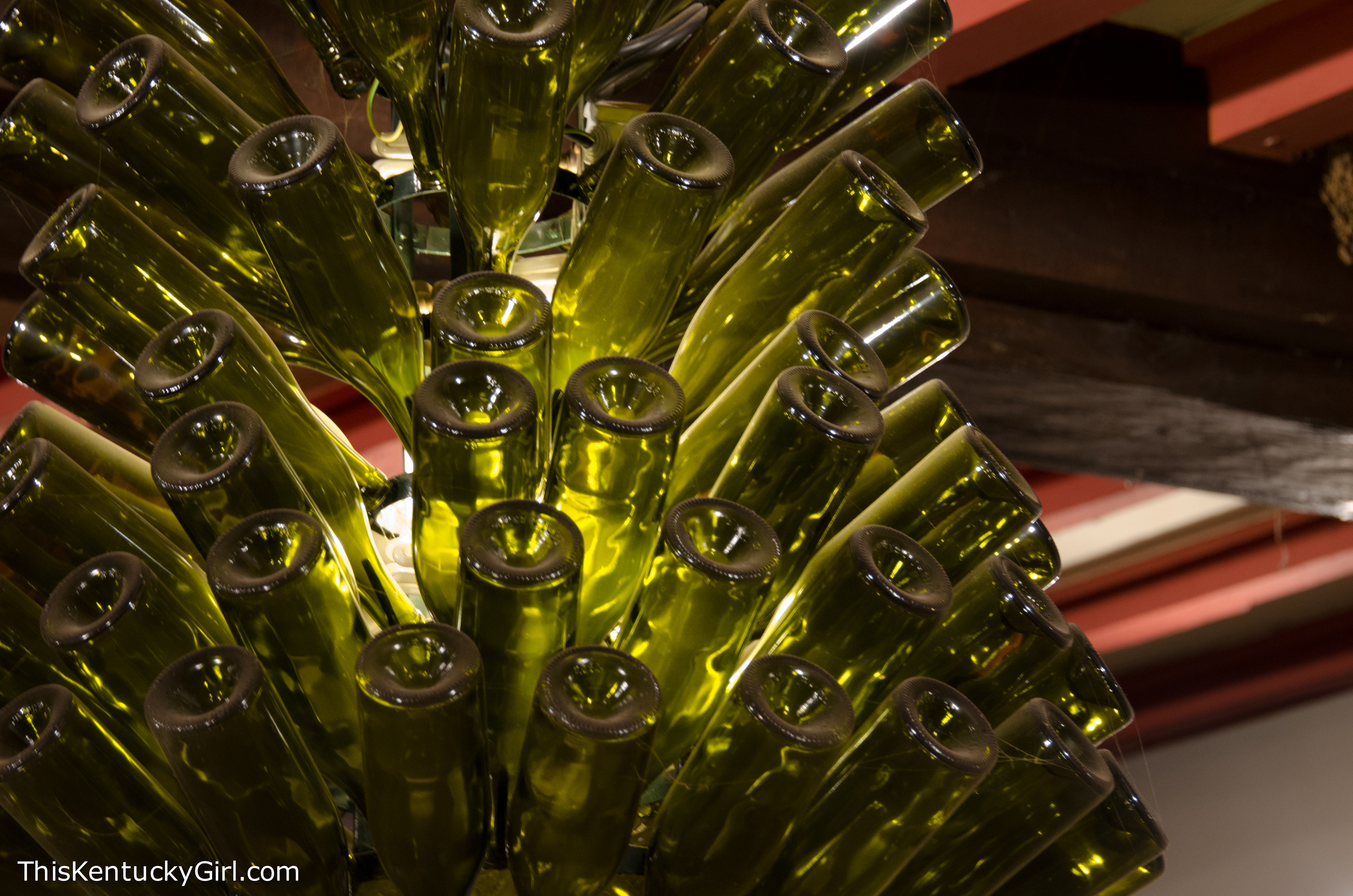 Day 338 web-4.jpg