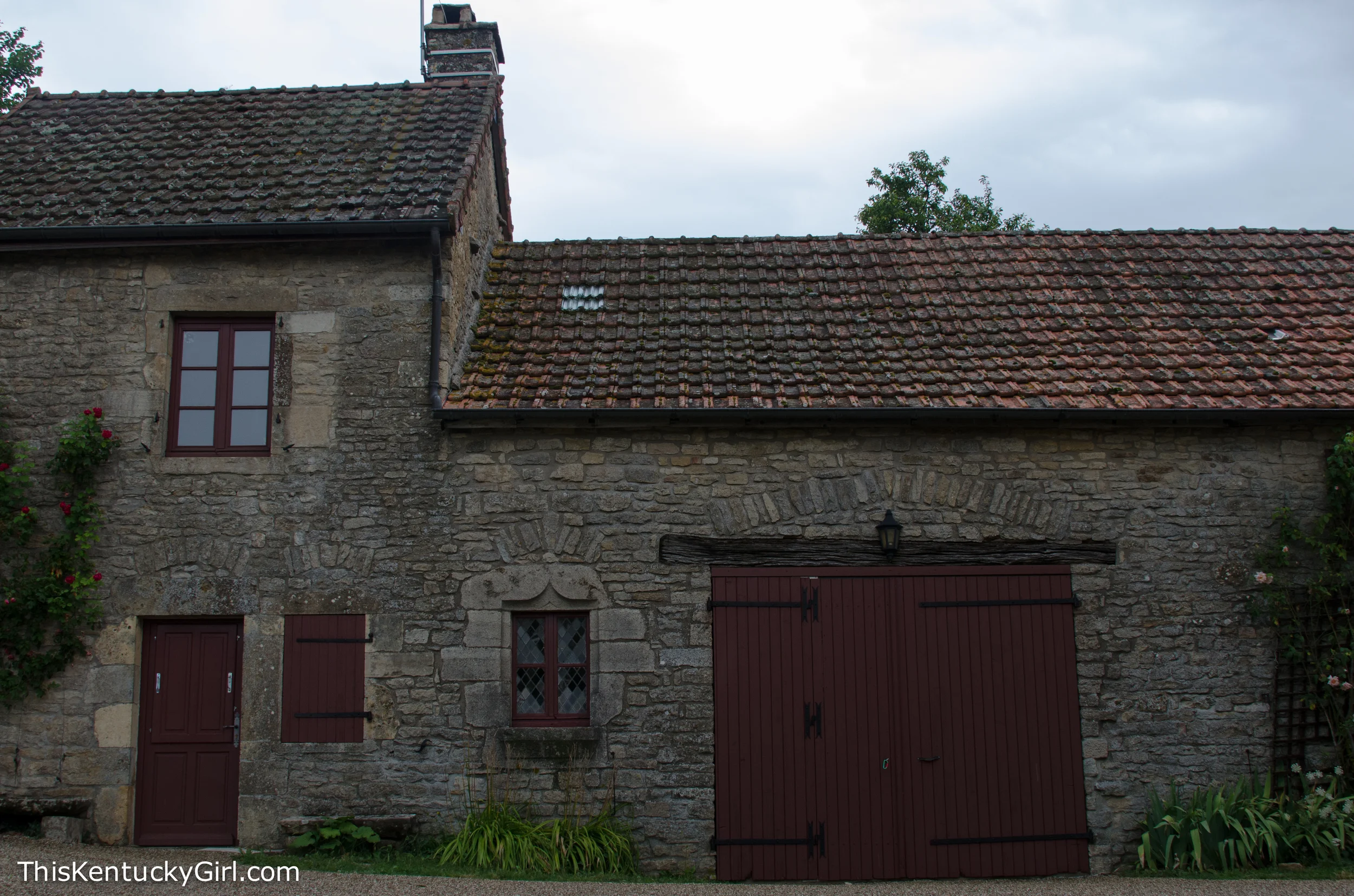 Day 337 web-21.jpg