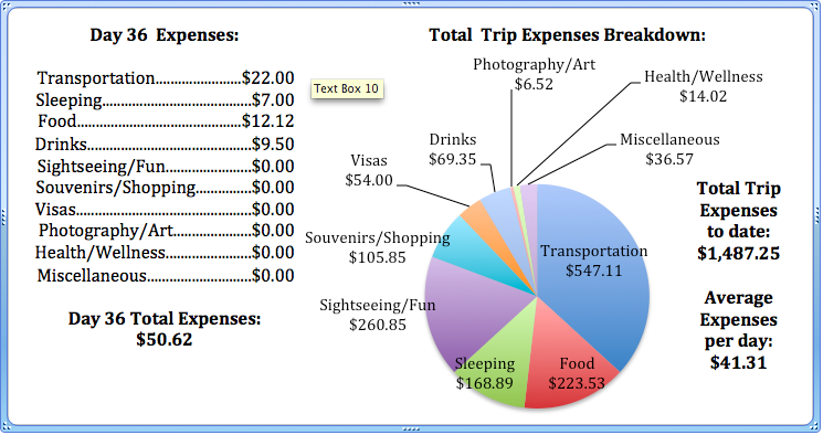 Day 36 Expenses.png