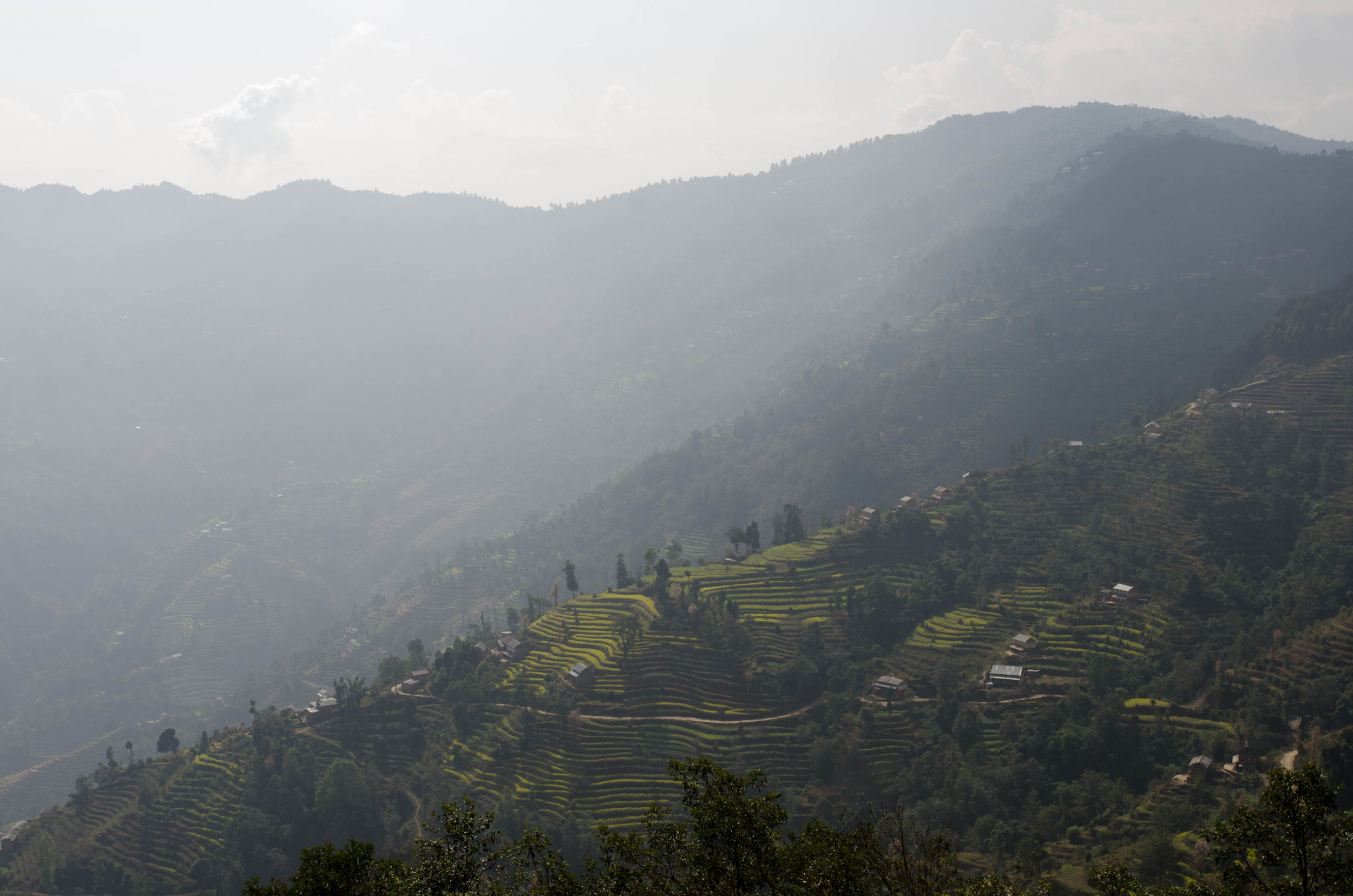 day 70 -4.jpg