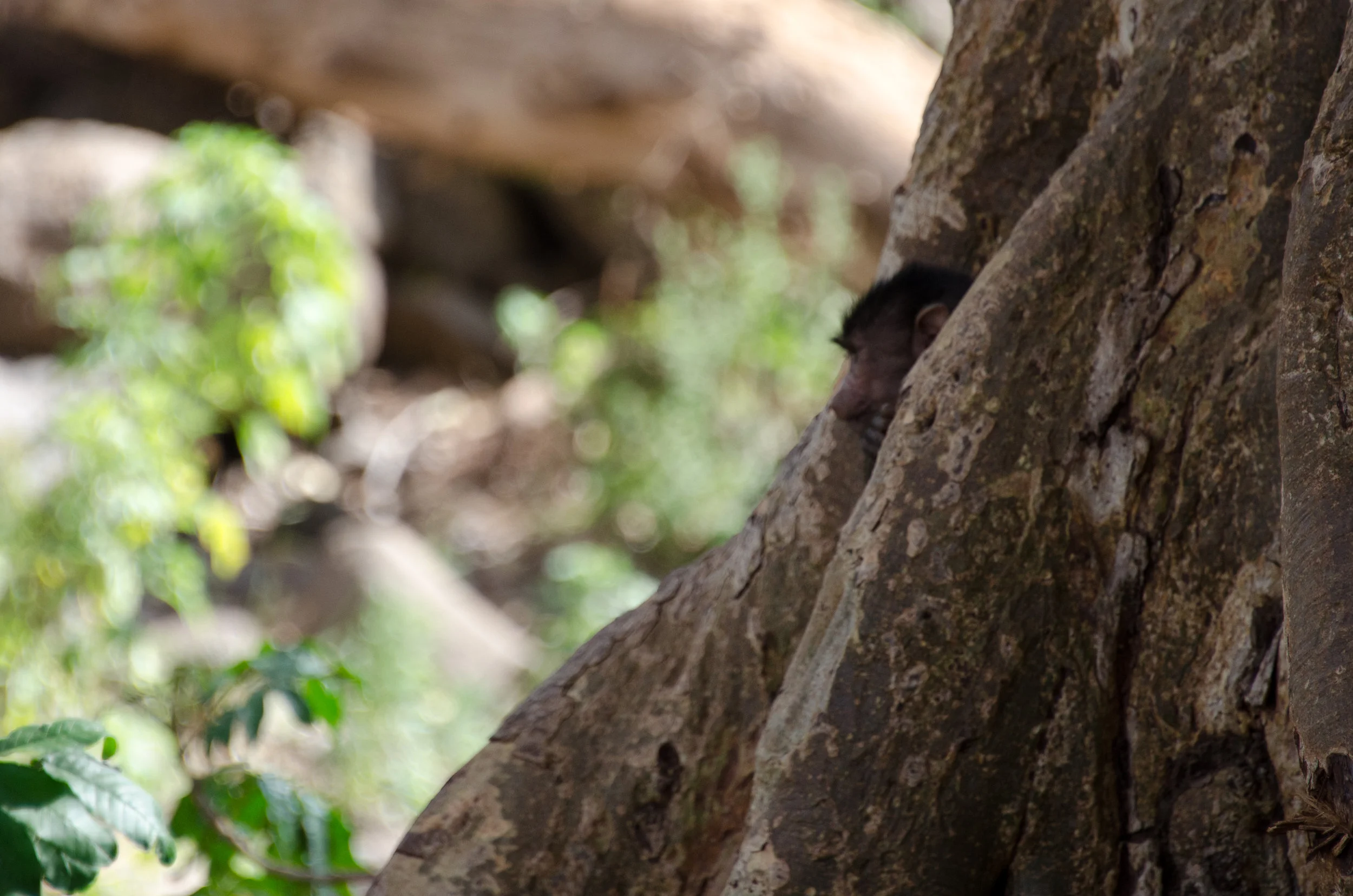 Day 181-3.jpg