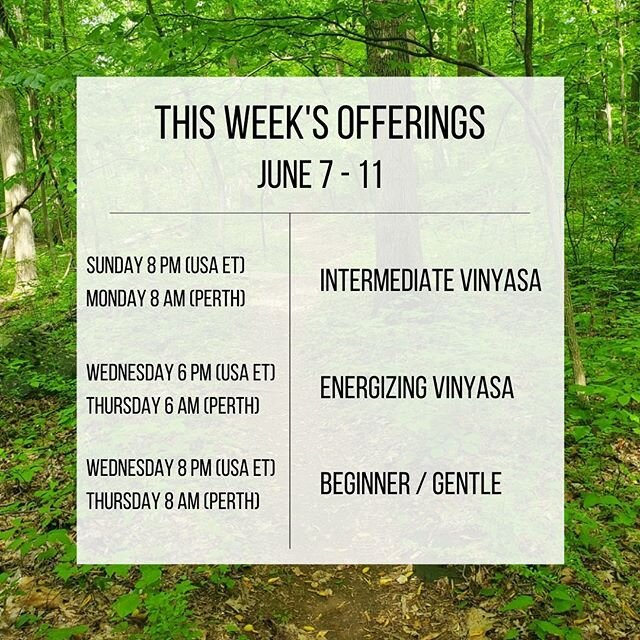 Here&rsquo;s your yoga for the week! 
These classes are on Zoom.  To receive the link and password, transfer the exchange one of three ways:

1) Paypal:  ericschwarzyoga@gmail.com

2) Venmo:  Eric-Schwarz-2

3) Australian Bank Transfer (inquire for b