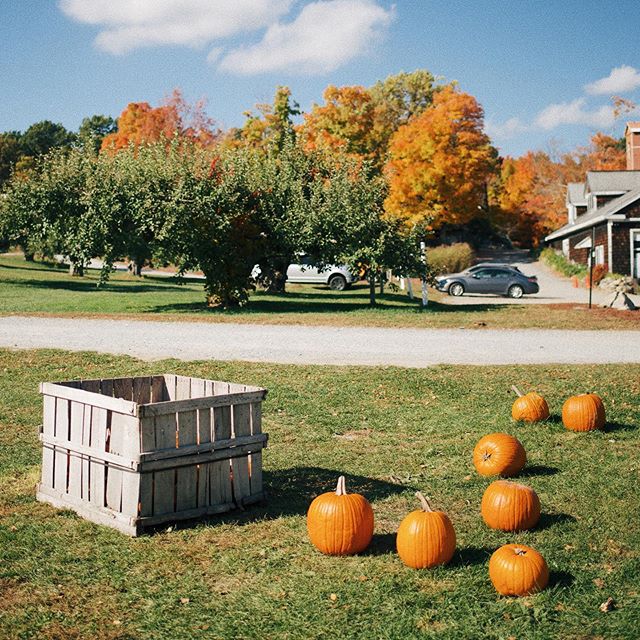 fall in New England. 🍁