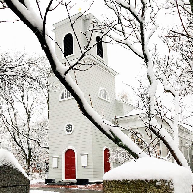 bright, white + light ❄️