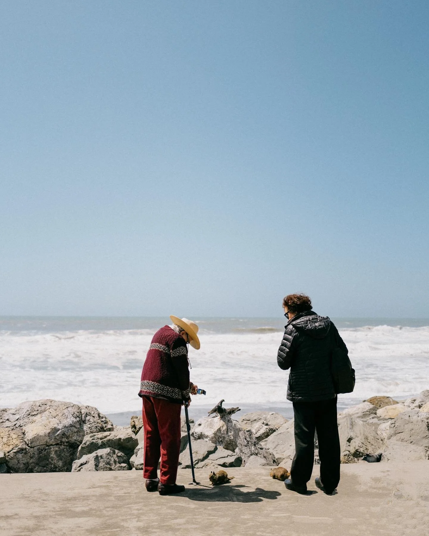 one of my favorite snaps from last weekend. how fast can I get back to California?!