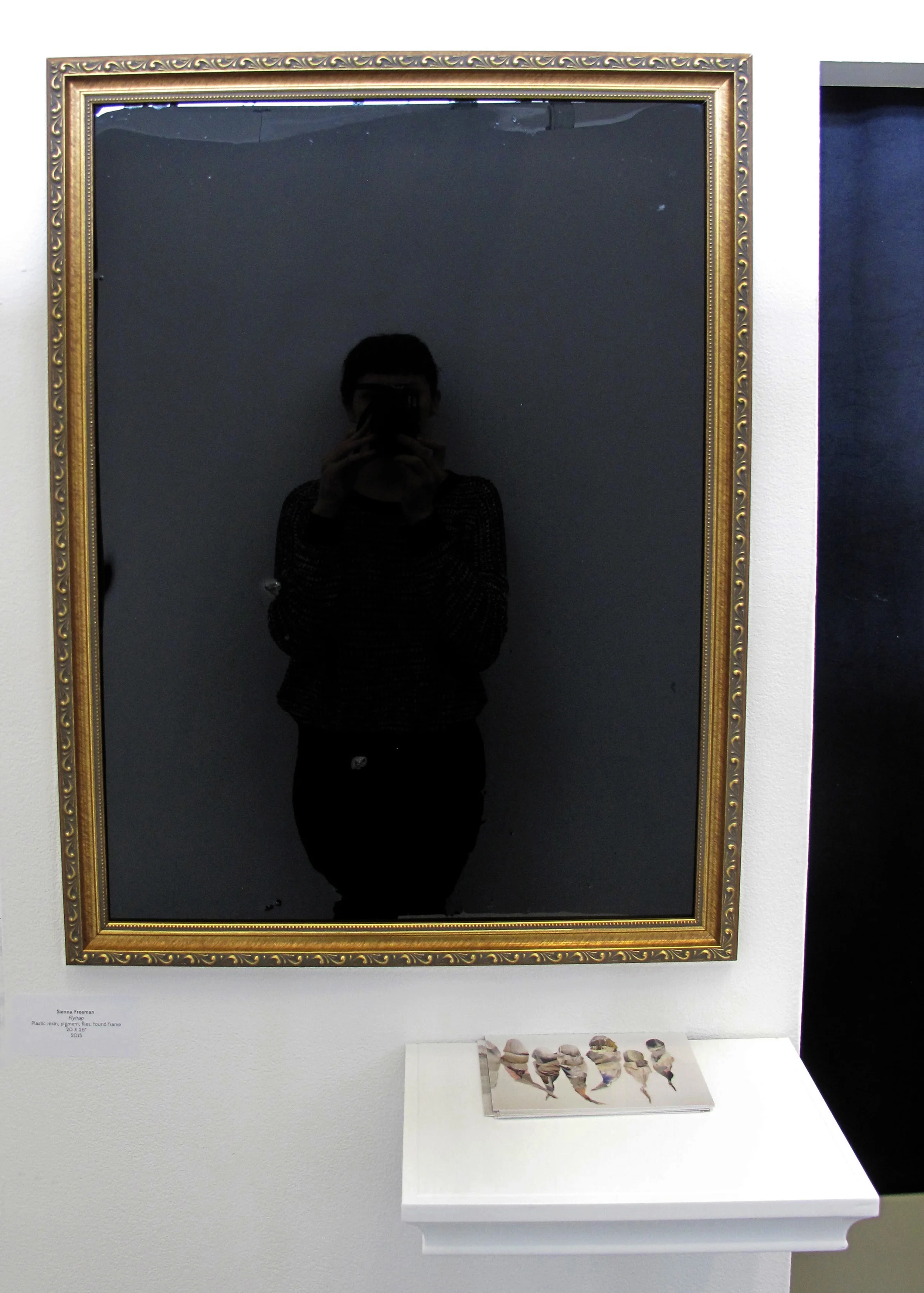 Flytrap , 2015, Plastic resin, pigment, flies, found frame, 20 X 26"