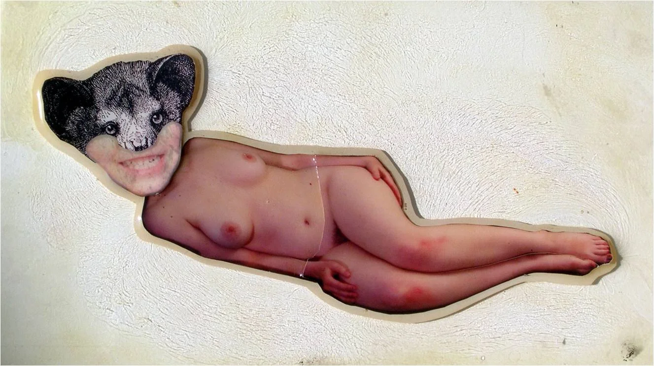 See a Banana, Eat It , 2004, Photographs, found images, plastic resin. 12 X 17.5”