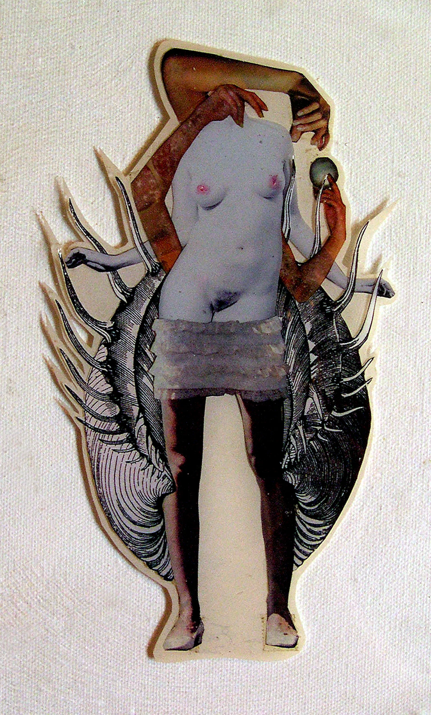 Venus , 2004, Self-produced photographs and appropriated printed materials cast in plastic resin. 7.25 X 10.25”