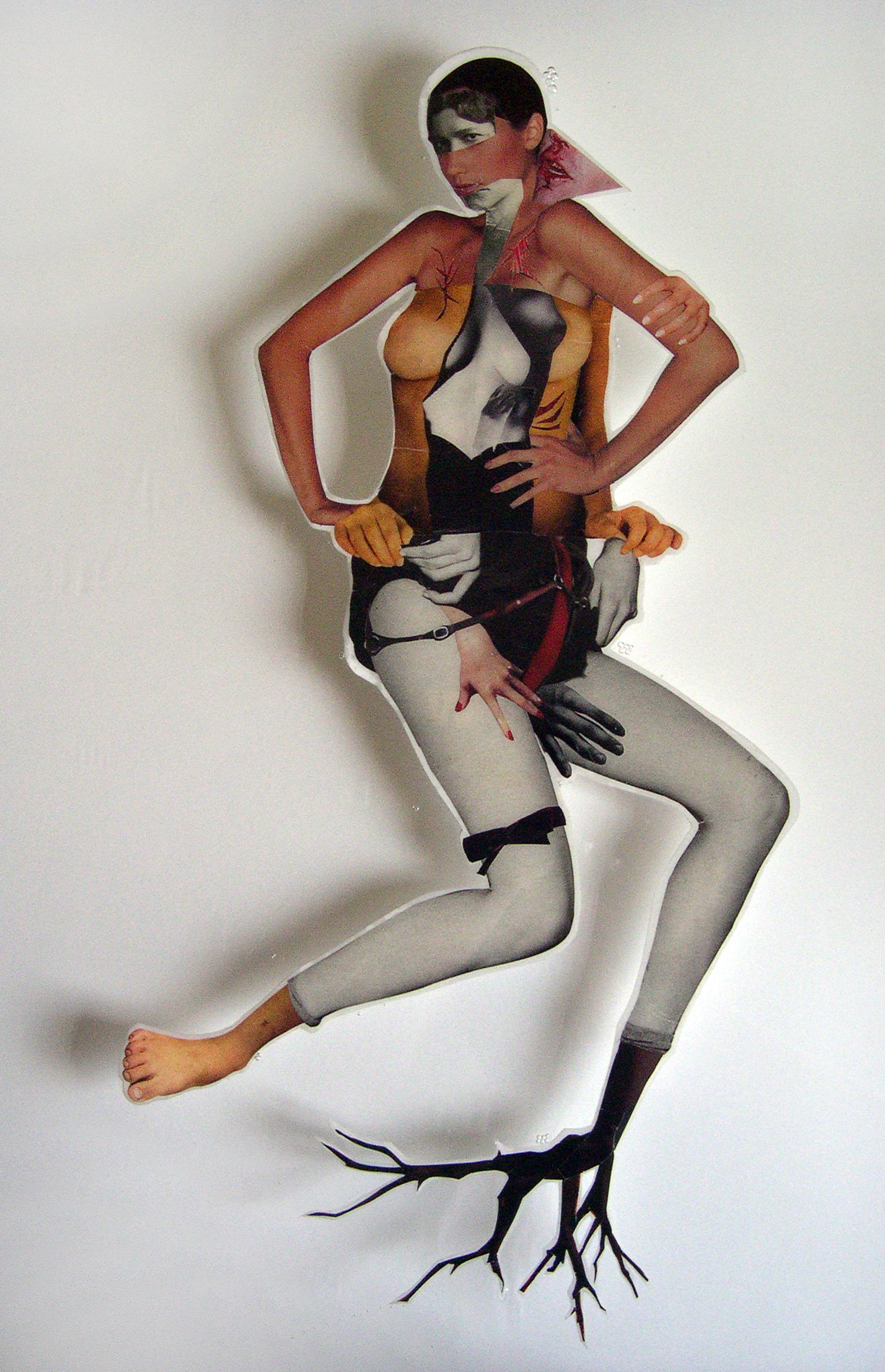 Rip the Girls Off , 2008, Self-produced photographs and appropriated printed materials cast in plastic resin. 16 X 20”