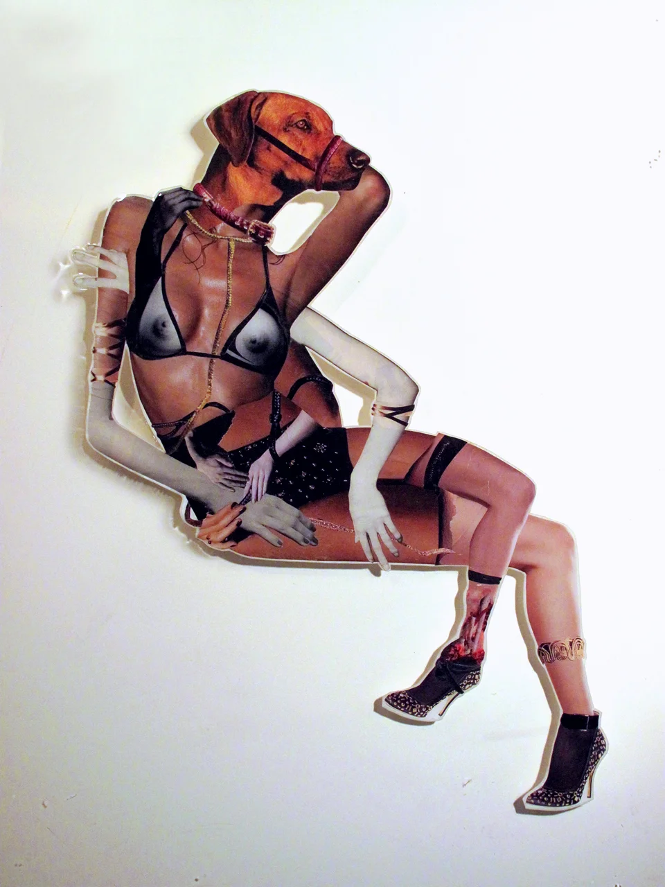 Glory, 2011, Hand-cut and assembled photographs and found images, cast in plastic resin. Framed. 20 X 25"