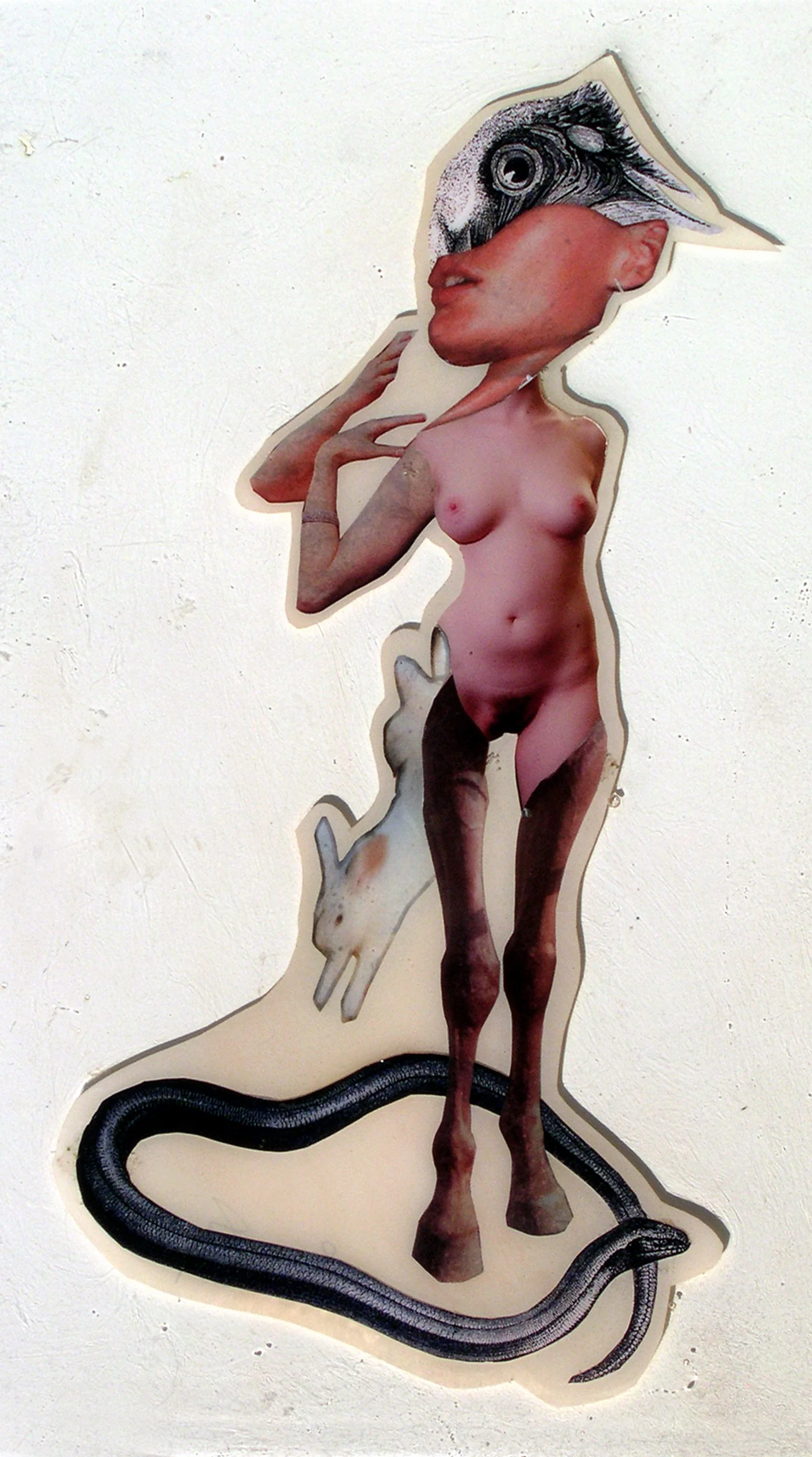She’s Lost It, 2003, Self-produced photographs and appropriated printed materials cast in plastic resin. 7.25 X 11”