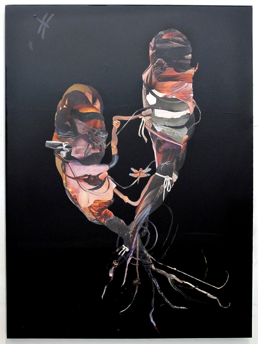 Tether and Spur , 2016, Hand-cut and assembled photographs, found images, plastic resin, 36 x 48" 