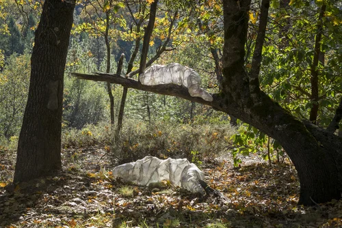 Stay With Me , 2014, Plastic, metal, pigments. Image Credit: Nina Dietzel
