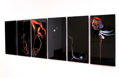 Gestation , 2015, Self-produced photographs, found images, plastic resin, Approx. 66 X 22” 
