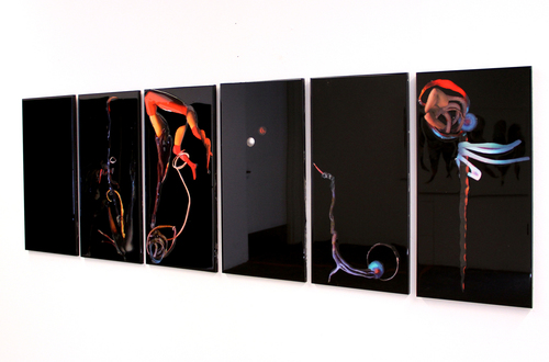   Gestation , 2015, Self-produced photographs,&nbsp;found images, plastic resin,&nbsp;Approx. 66 X 22”&nbsp; 