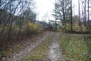 Driveway to the Cabin.jpg