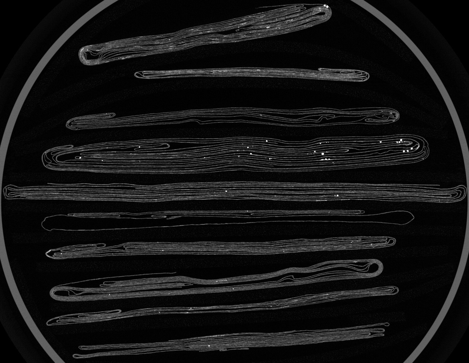  The common elements in early modern ink, on the other hand, include metals such as iron, copper, silver, tin, gold, and mercury. These are high density materials, resulting in bright regions within the scan – hence ink shows up very well with X-rays