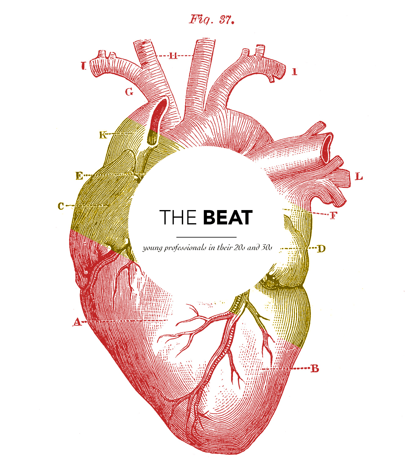 TheBeat-large-background-011115.gif