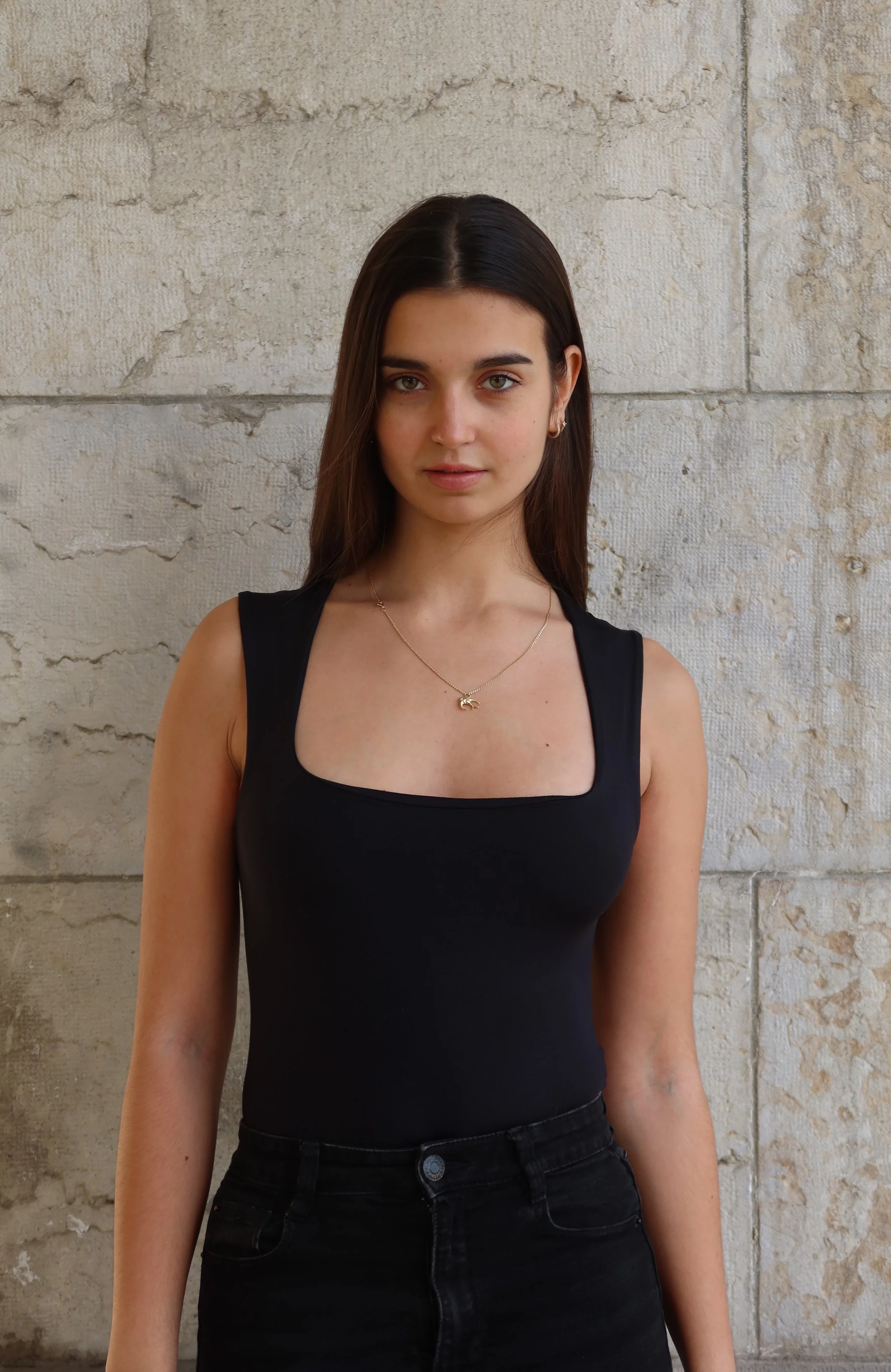 plan américain face 2.JPG