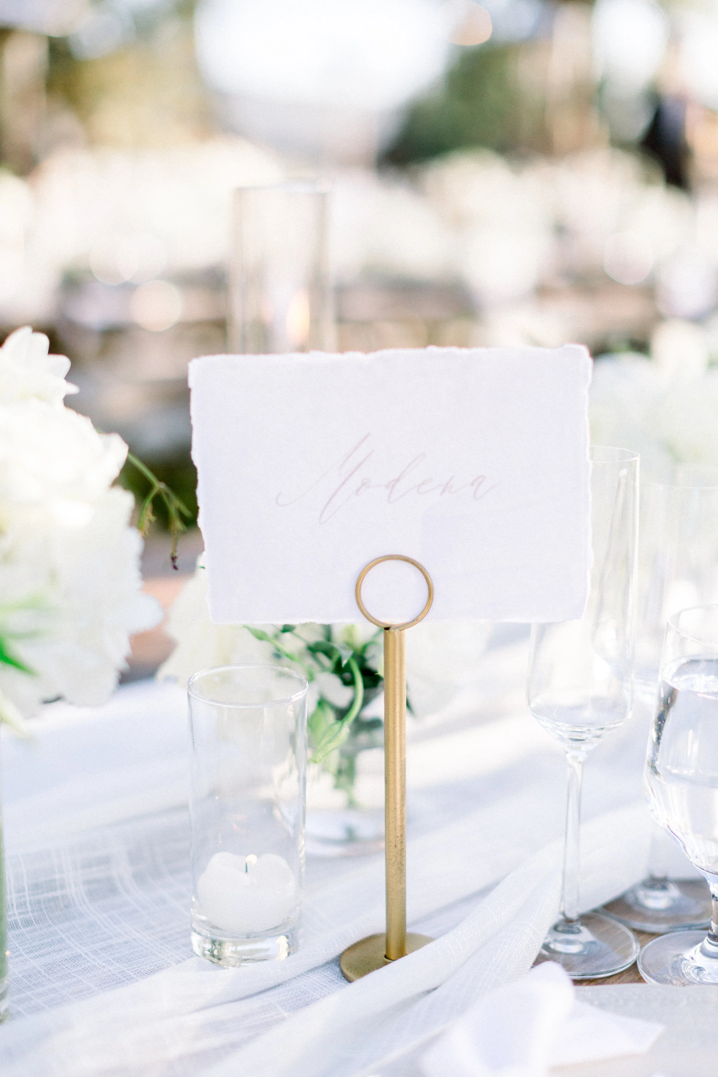 STEPHANIE+MARC-554.jpg
