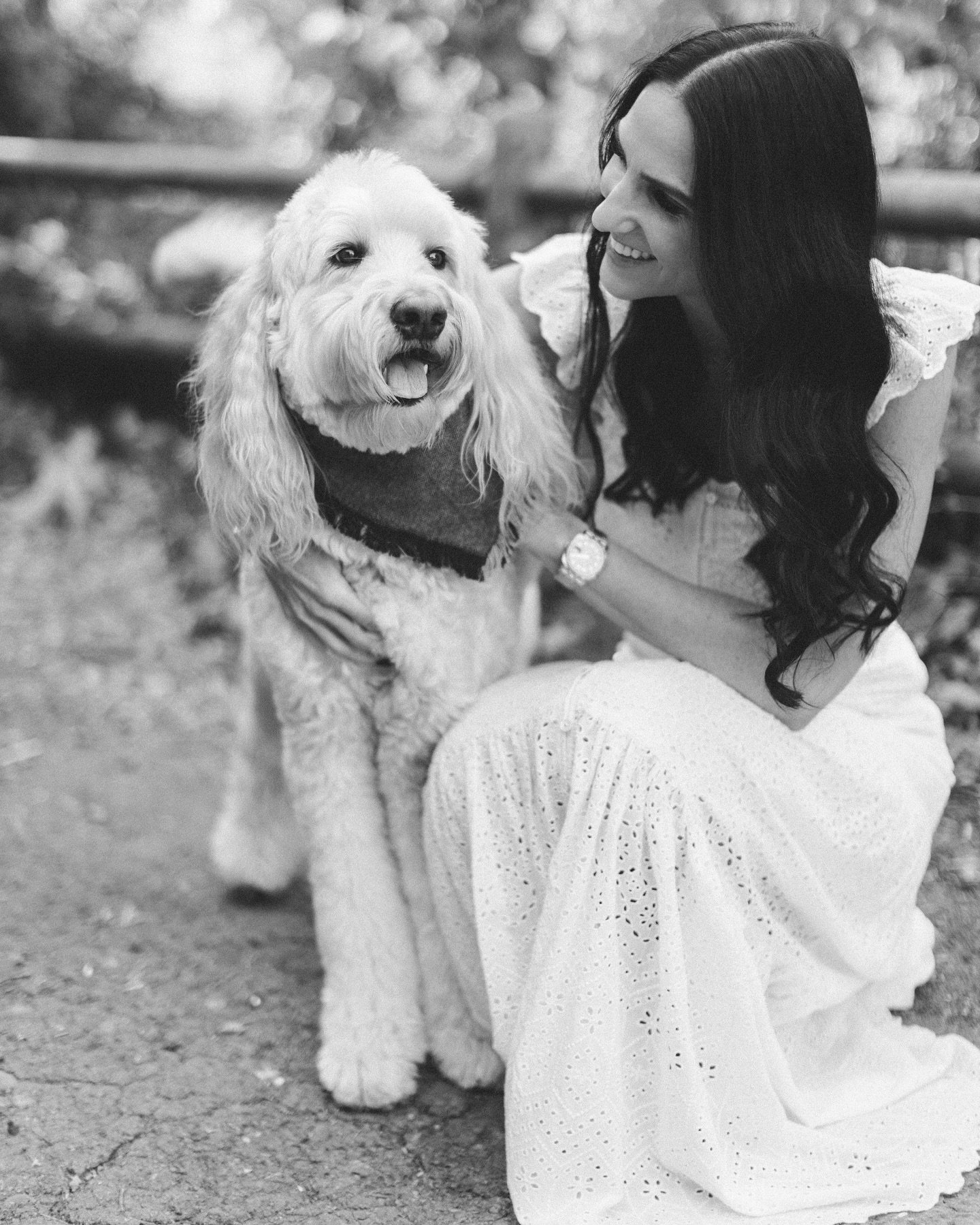 I had the gift of starting off this week with the sweetest family, in the loveliest soft morning light. ❤️🐾