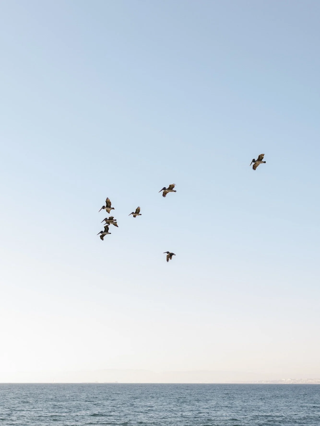 Just over here being all kinds of happy for this summer day right in the middle of winter. ☀️
(high of 92 today&hellip; beach anyone!? 🏖️🙋&zwj;♀️)