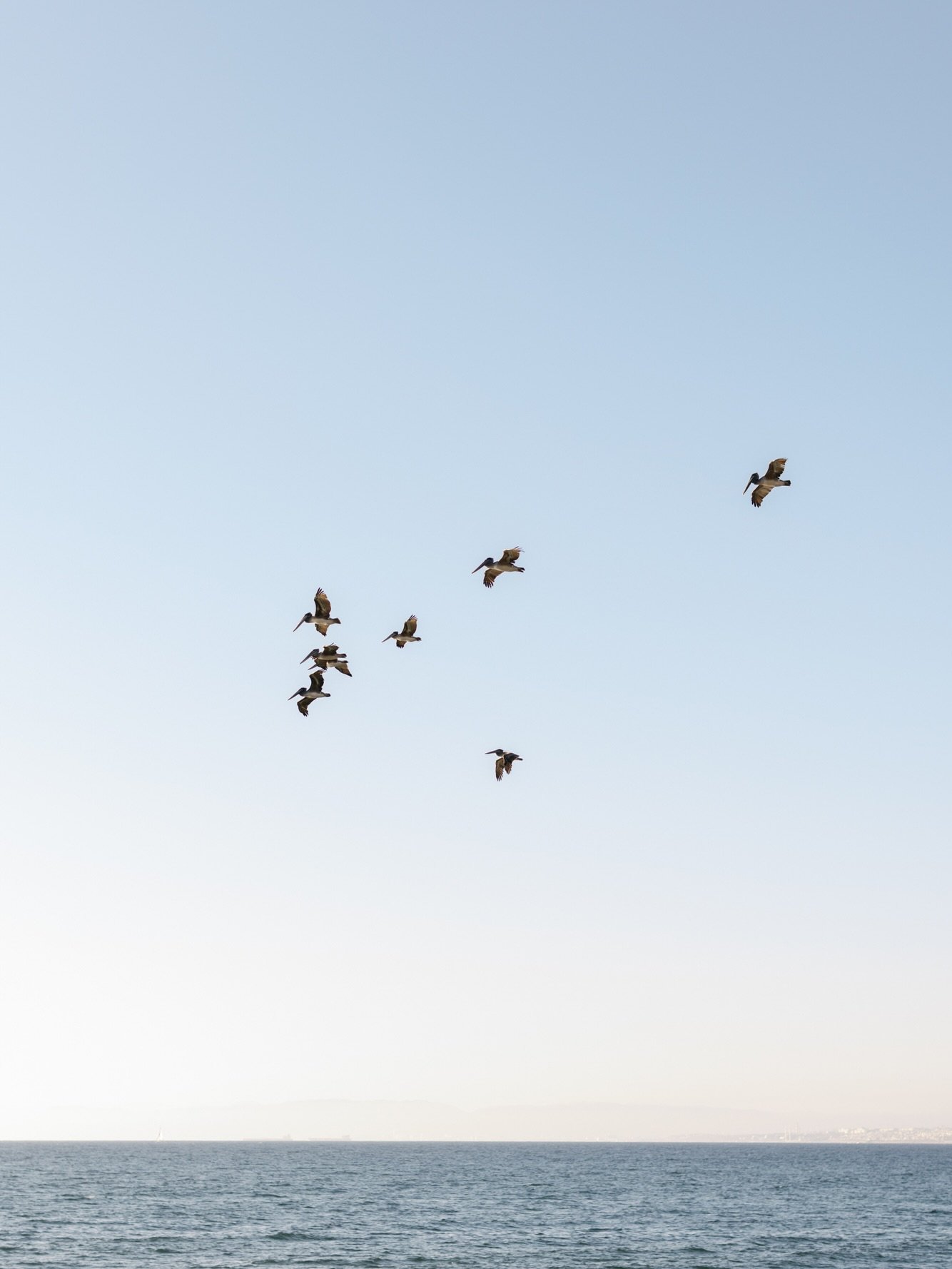 Just over here being all kinds of happy for this summer day right in the middle of winter. ☀️
(high of 92 today&hellip; beach anyone!? 🏖️🙋&zwj;♀️)