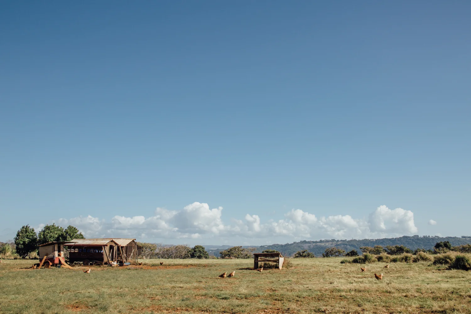 kingscliff-10.jpg