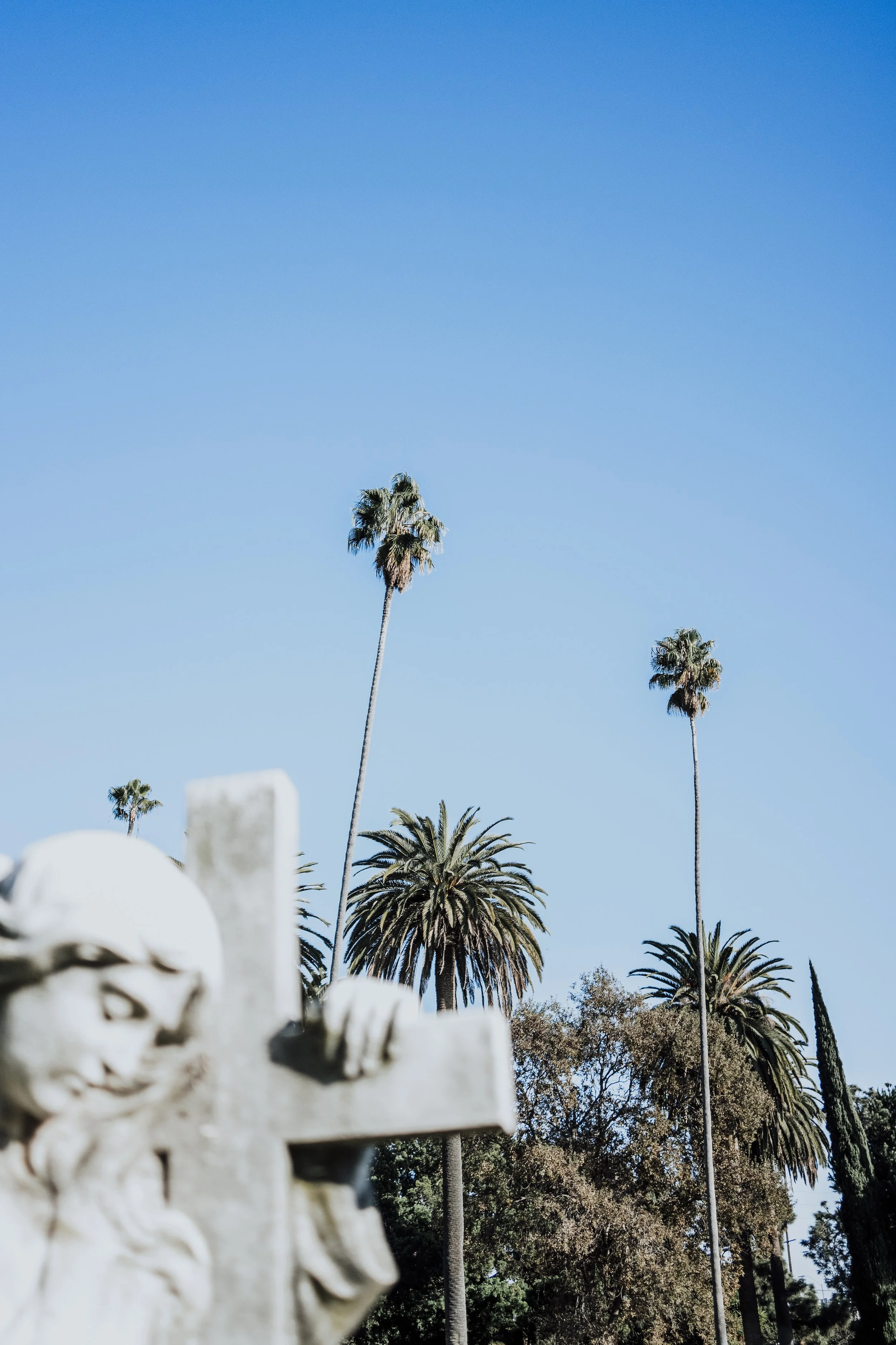 LA_112.jpg