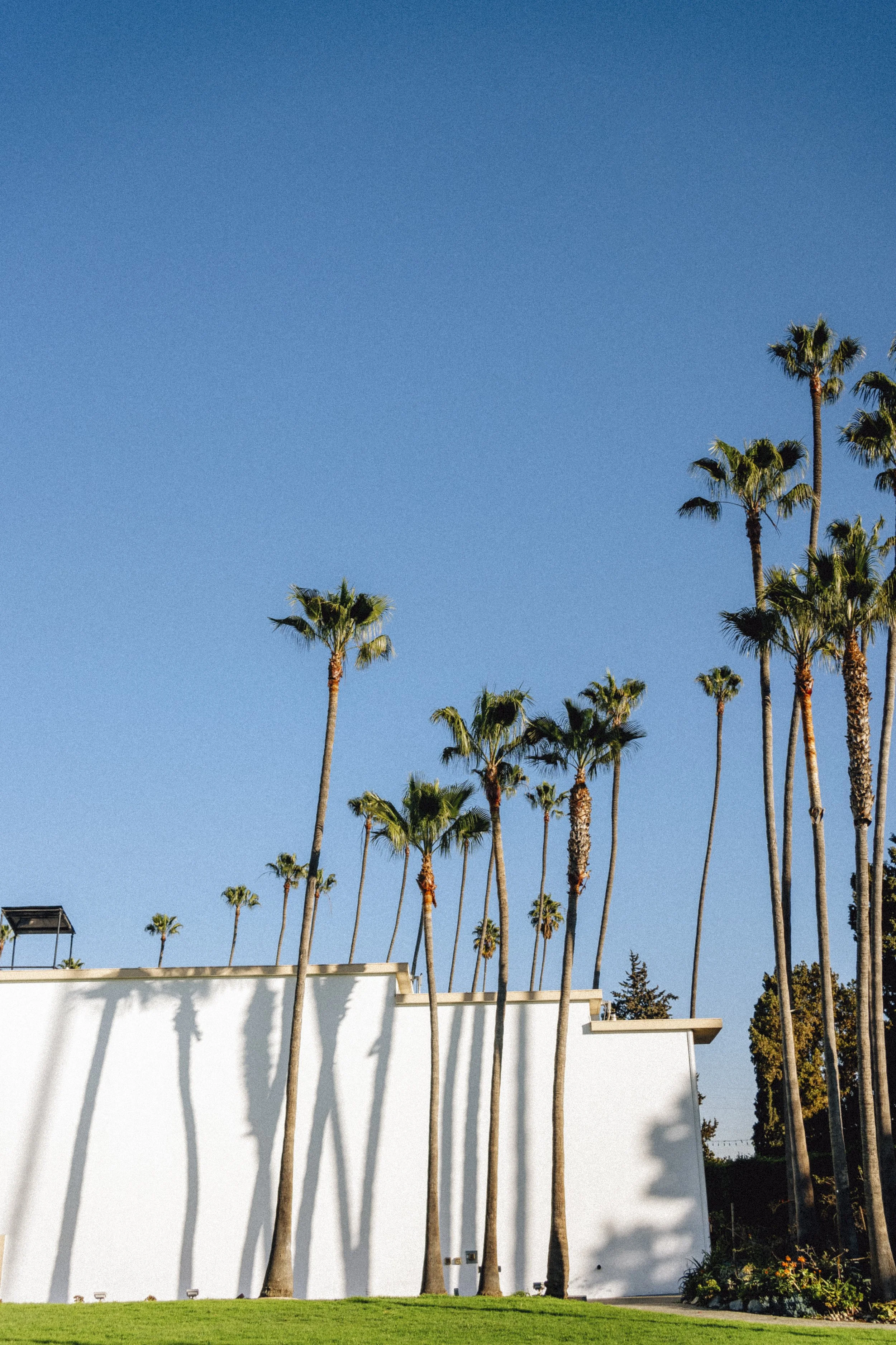 LA_122.jpg