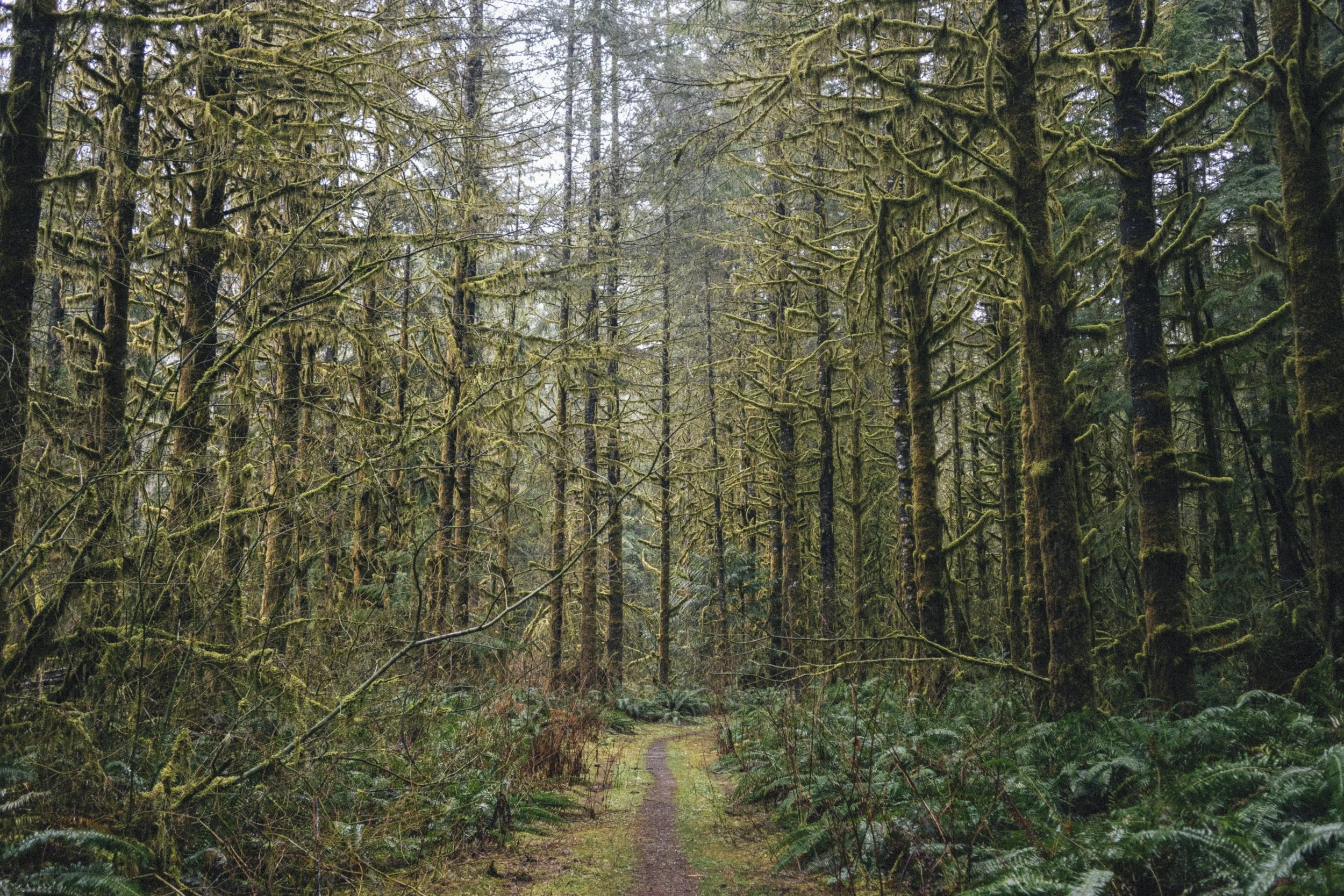 DSC_5100.jpg