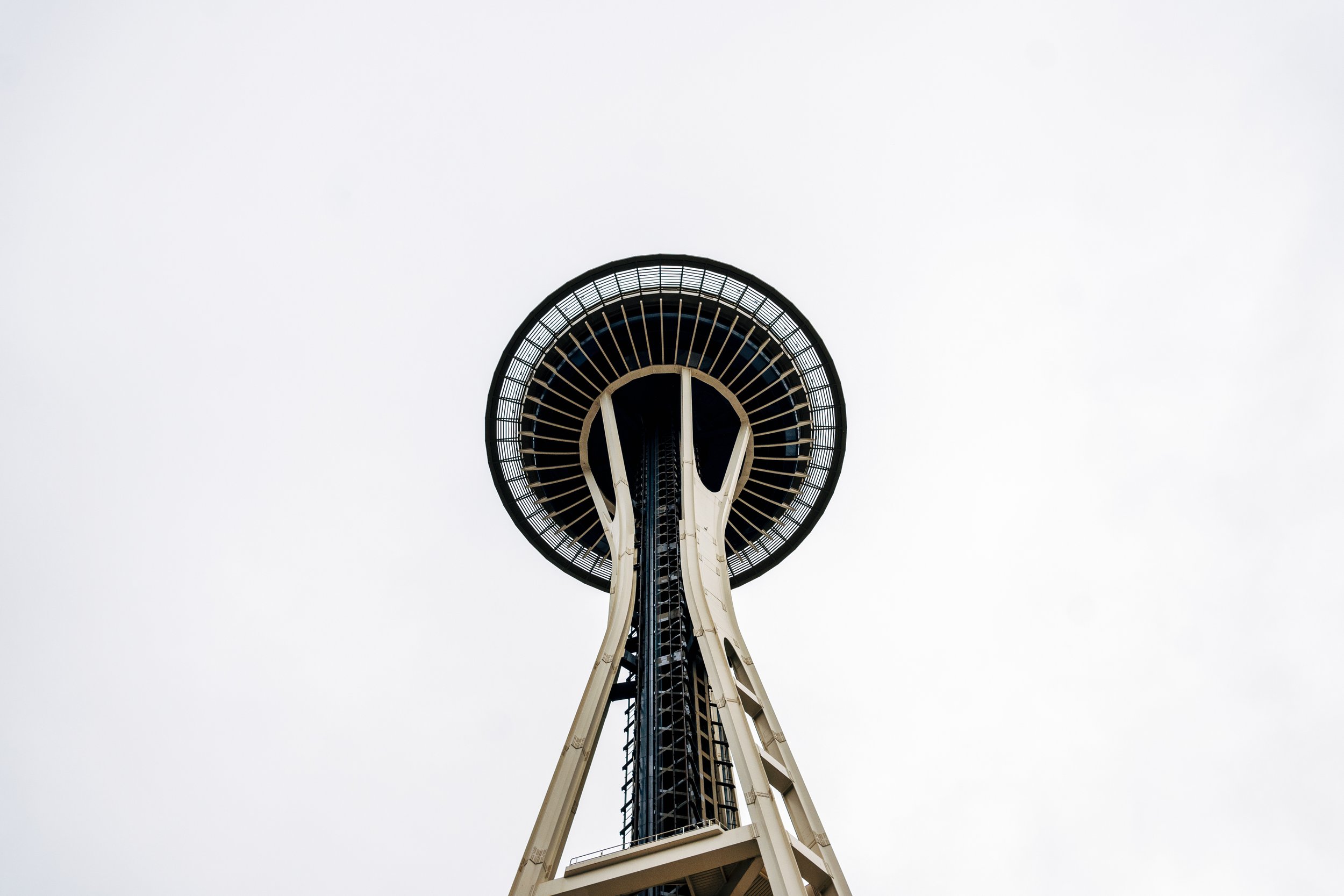 DSC_5805.jpg