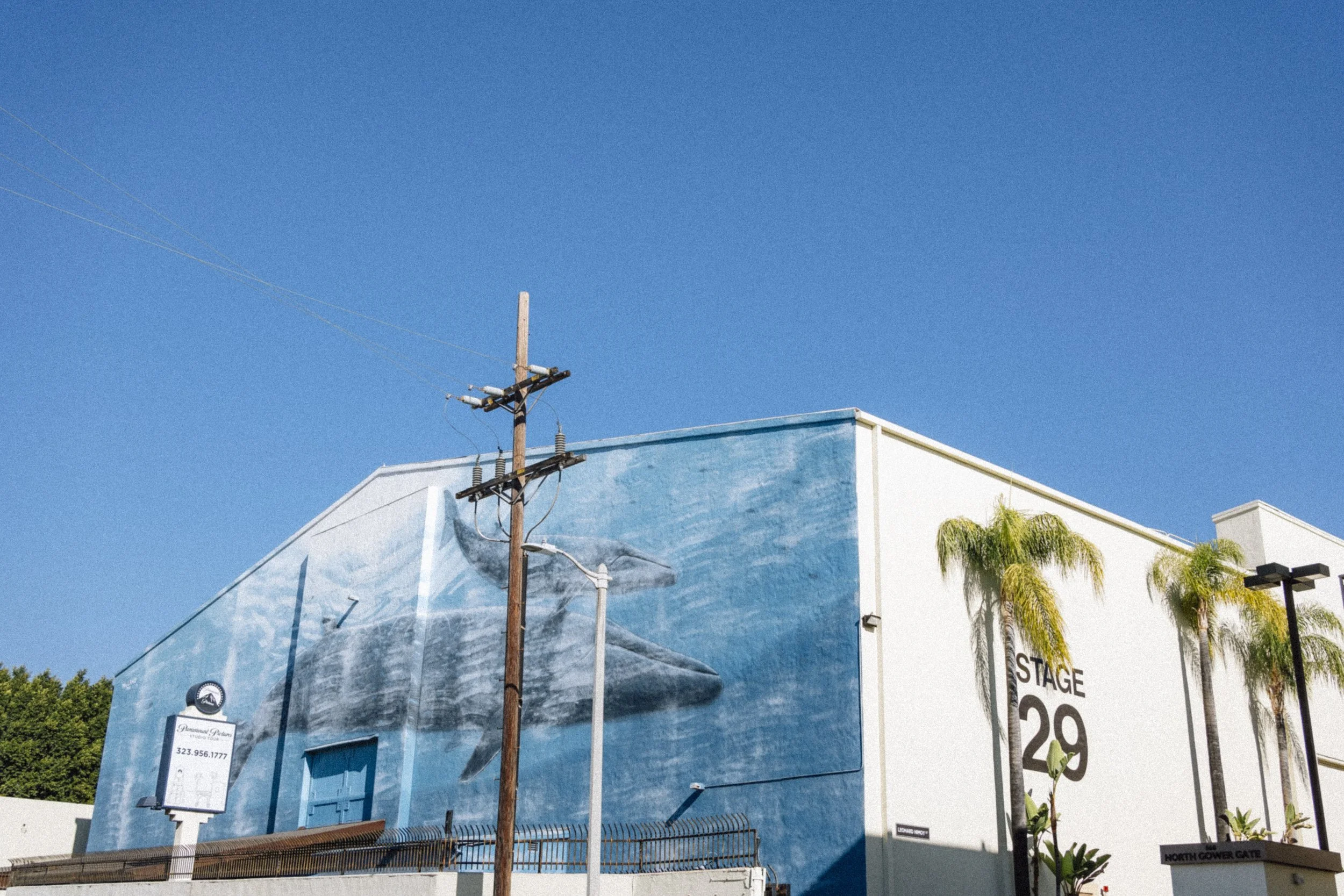 LA_083.jpg