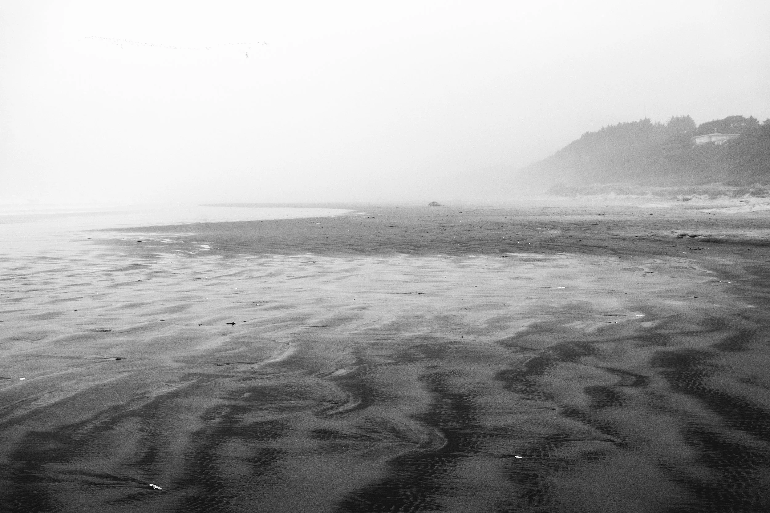 or-ca_026.jpg