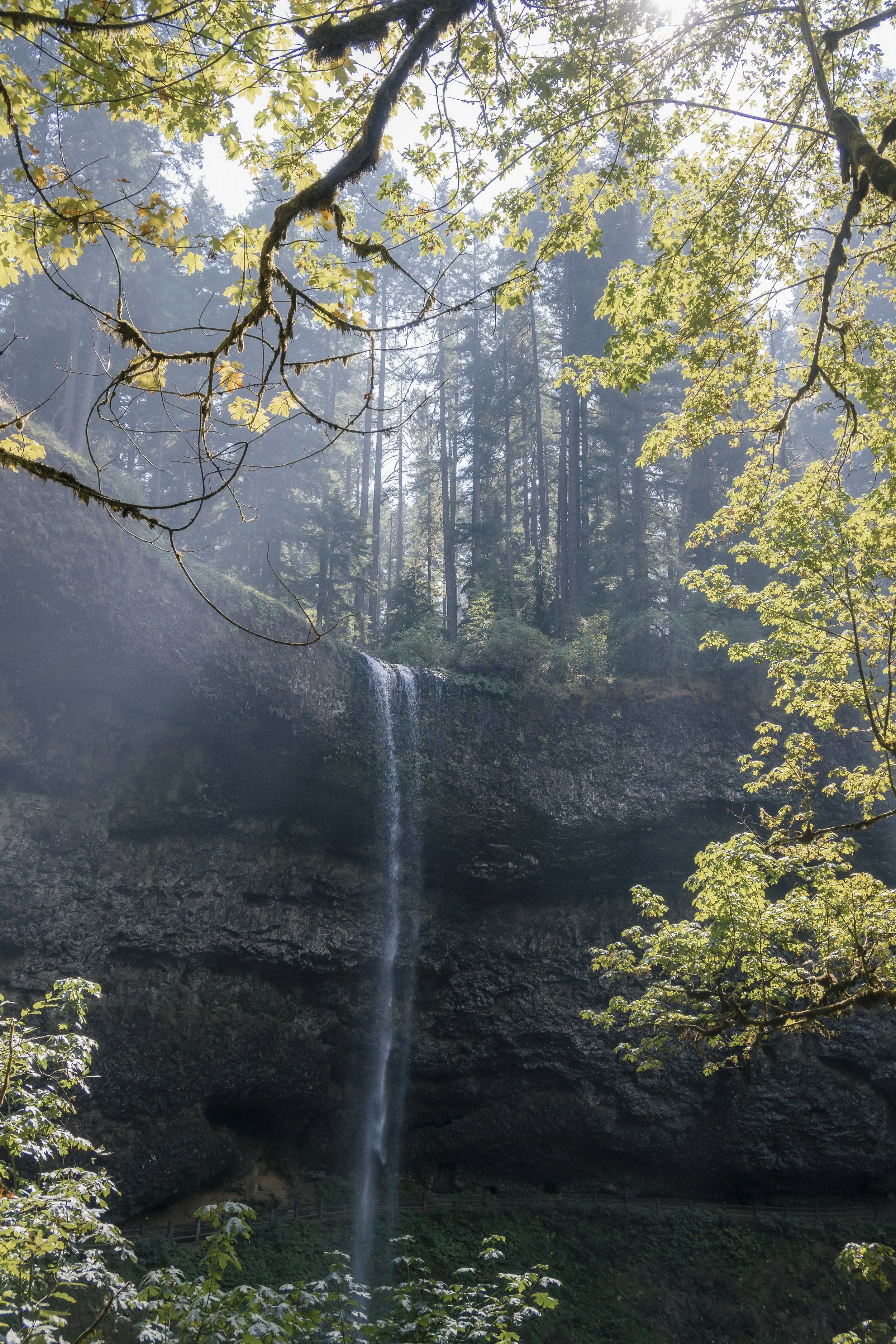 oregon_055.jpg