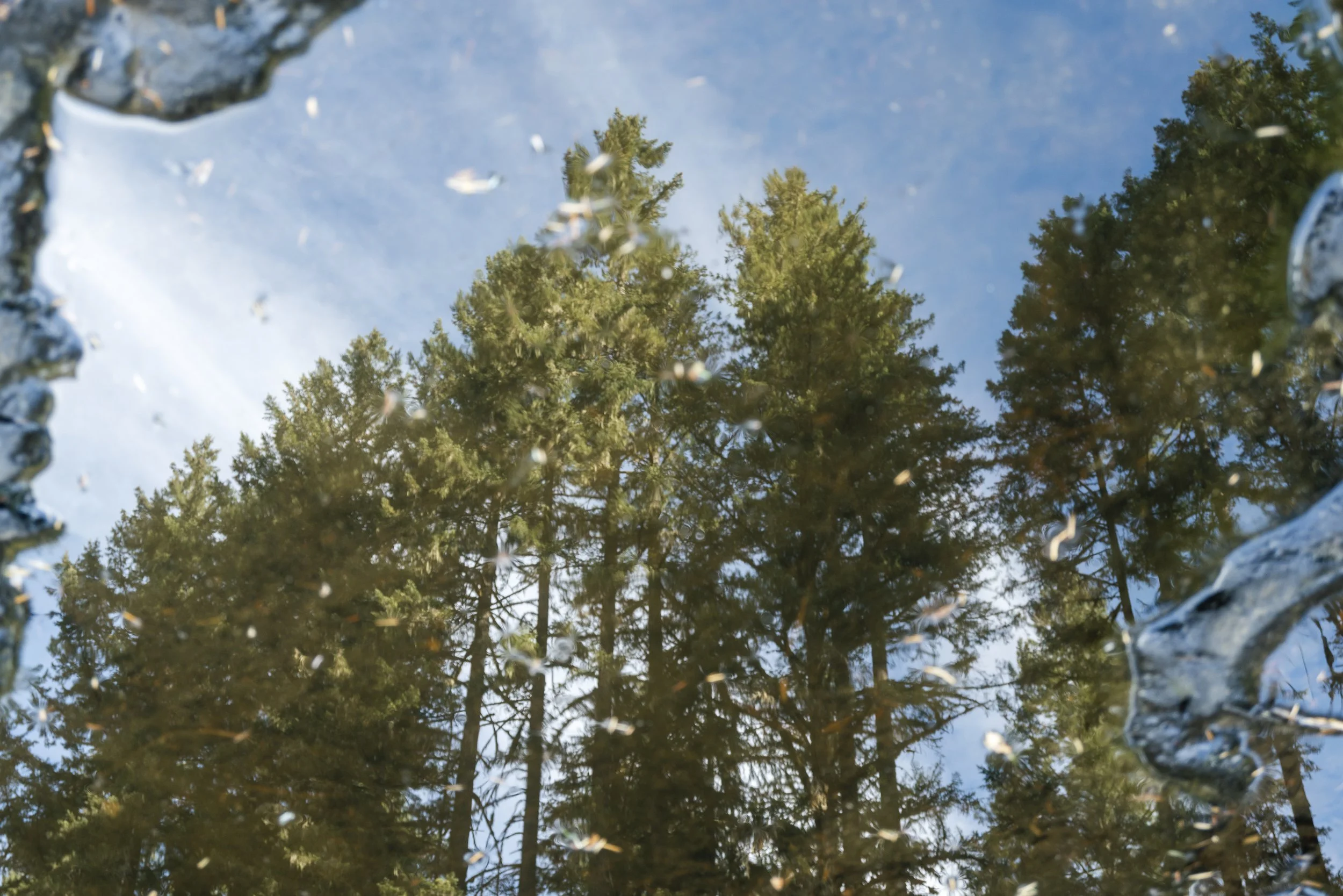 oregon_079.jpg