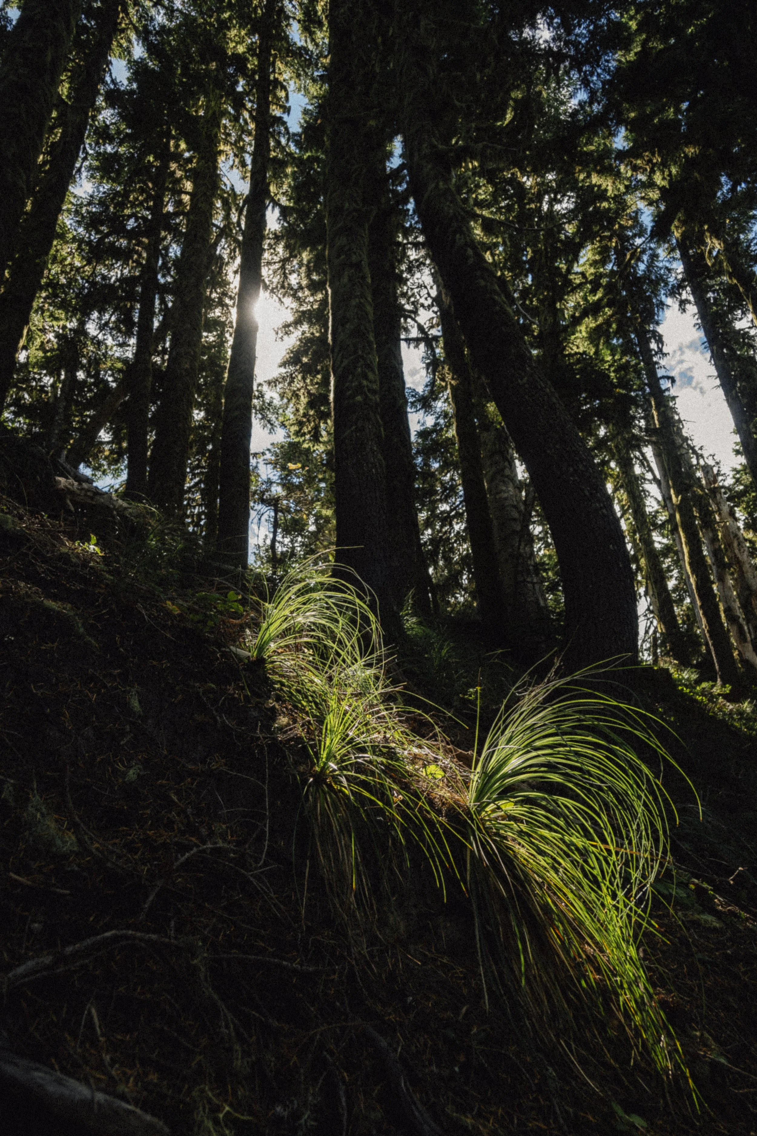 oregon_092.jpg
