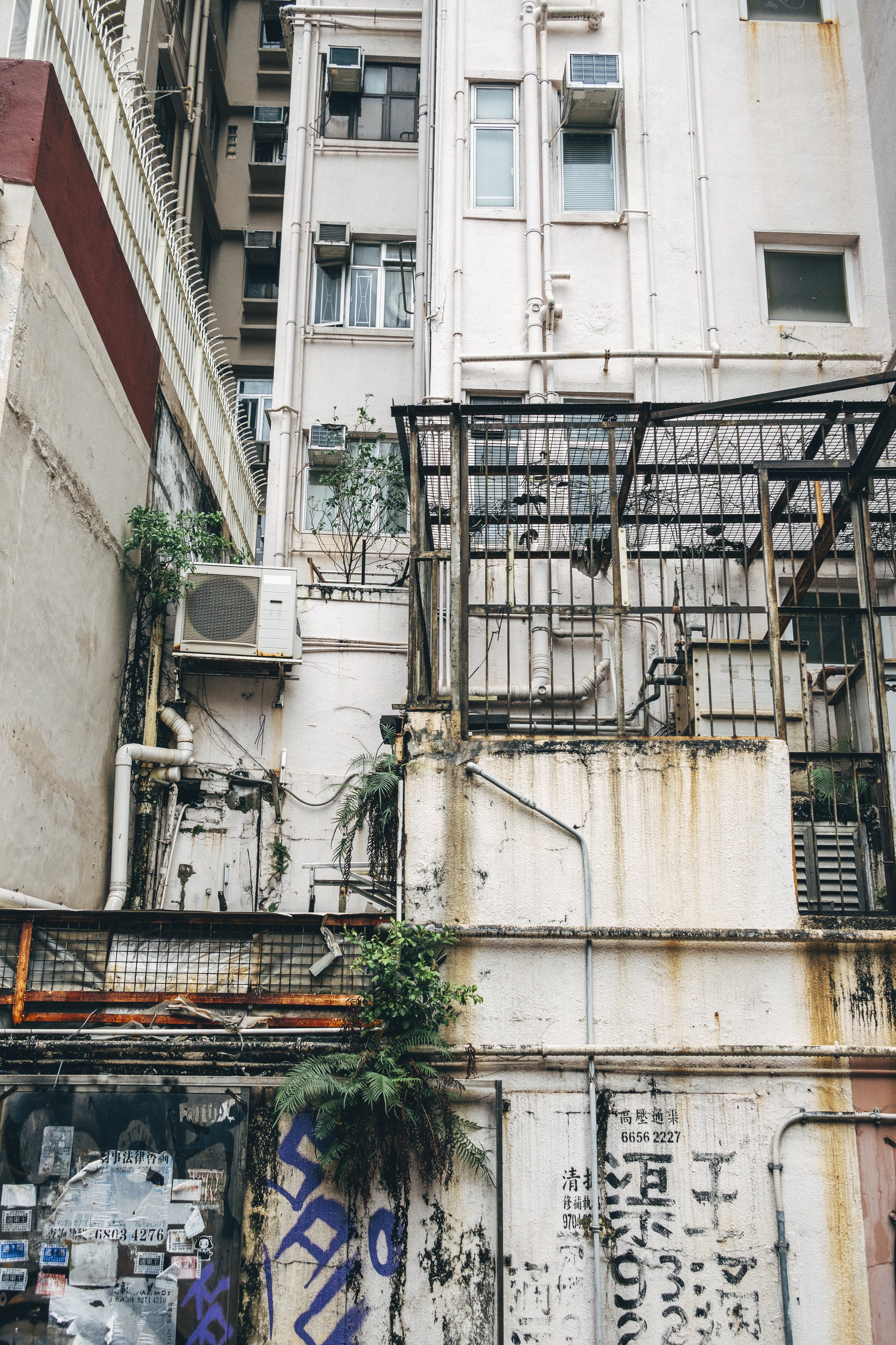 HK_004.jpg