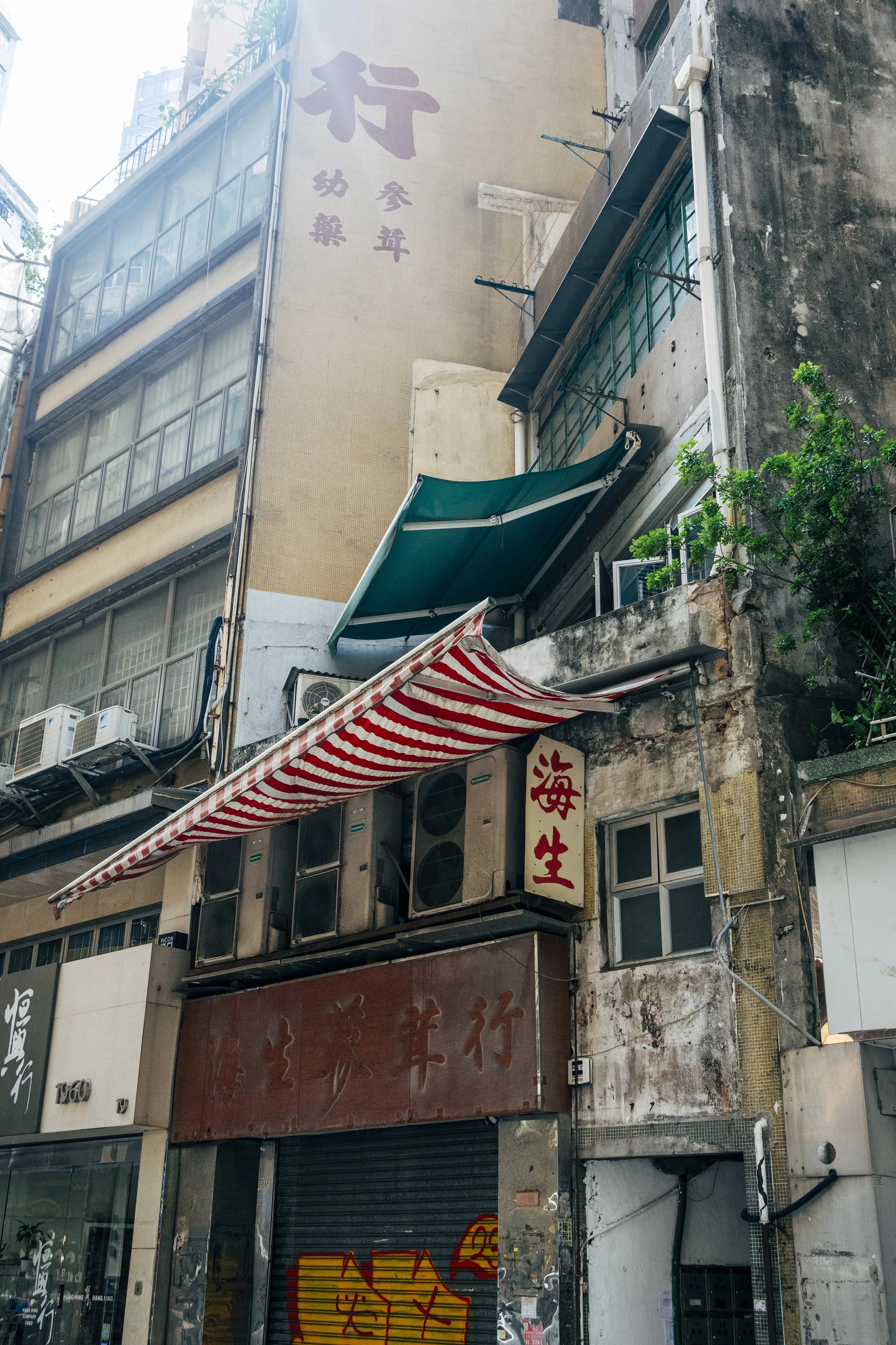 HK_095.jpg