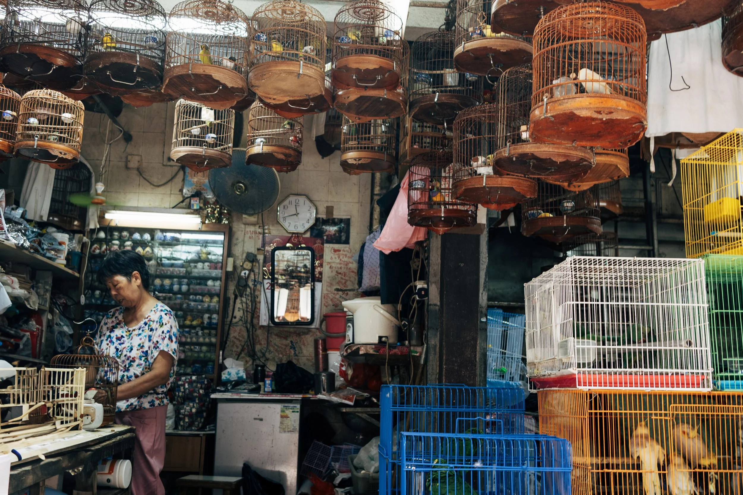 HK_205.jpg