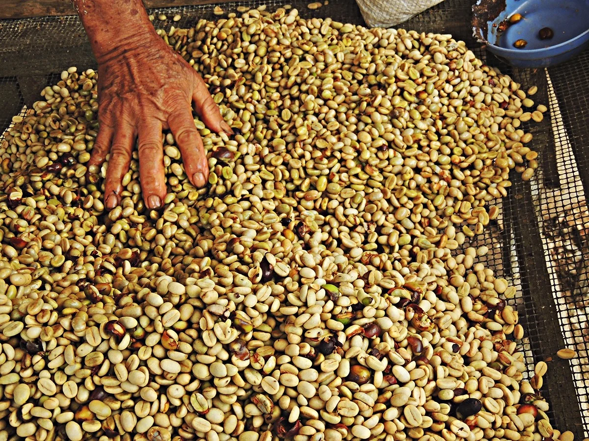 From my Family to you