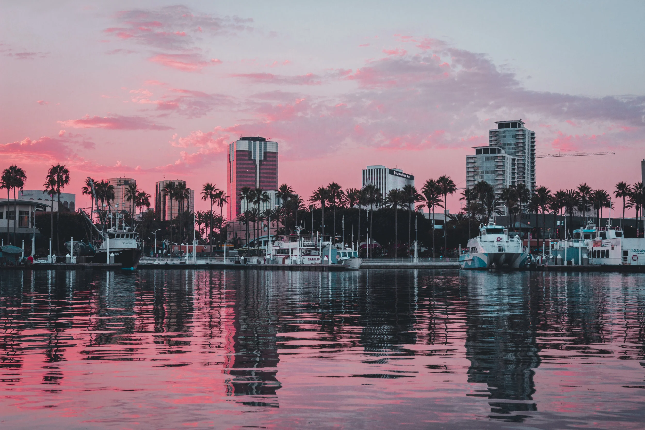 A harbor at sunset with boats docked, tall palm trees, and a city skyline with high-rise buildings reflected on the water.