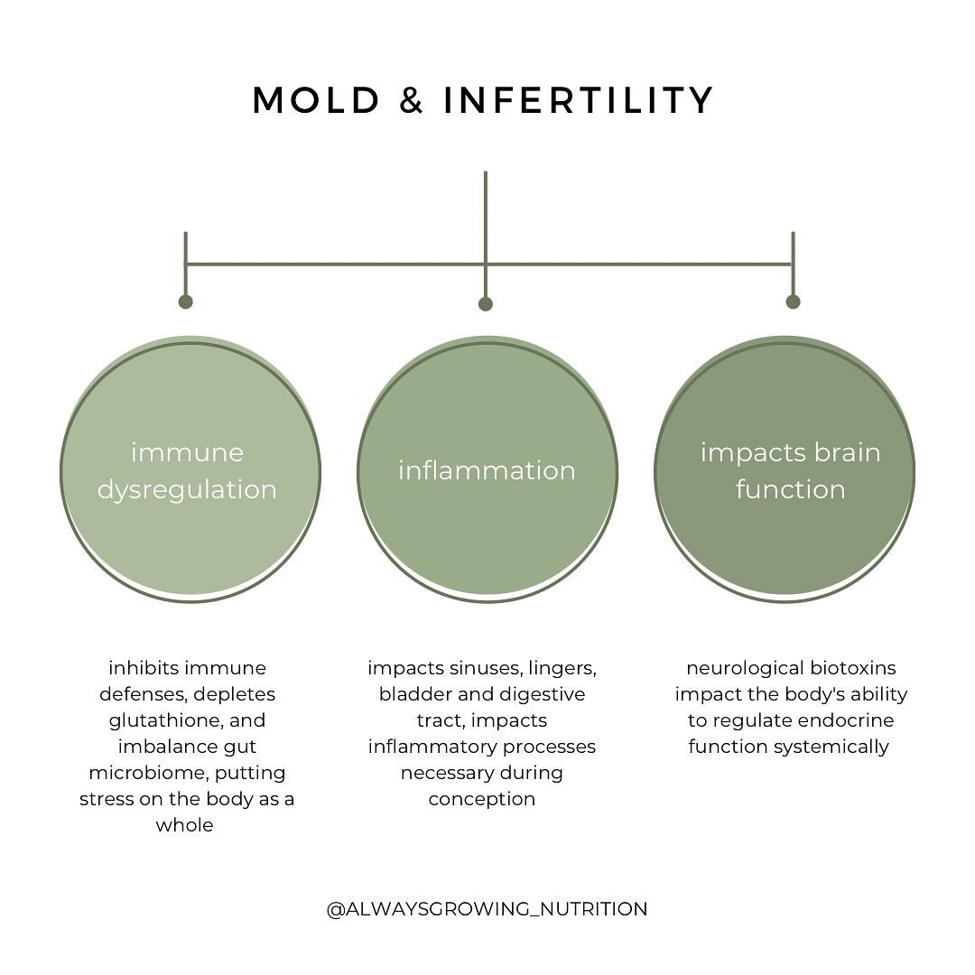 Mold toxicity could be the cause of your fertility concerns and here&rsquo;s how 👇🏼

1️⃣Impaired liver function makes it difficult to metabolize hormones effectively and contributes to imbalances.

2️⃣Impaired brain function can impact all endocrin