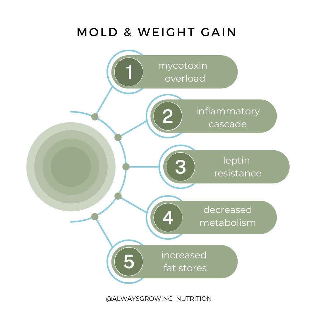 If you haven't changed your diet or lifestyle but have noticed that you're putting on weight (especially body fat) - don't be so quick to chalk it up to aging, it could be mold and mycotoxins!

These biotoxins disrupt the function of an important hor