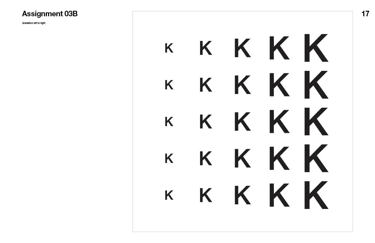 DES150_ProcessBook_print18.jpg