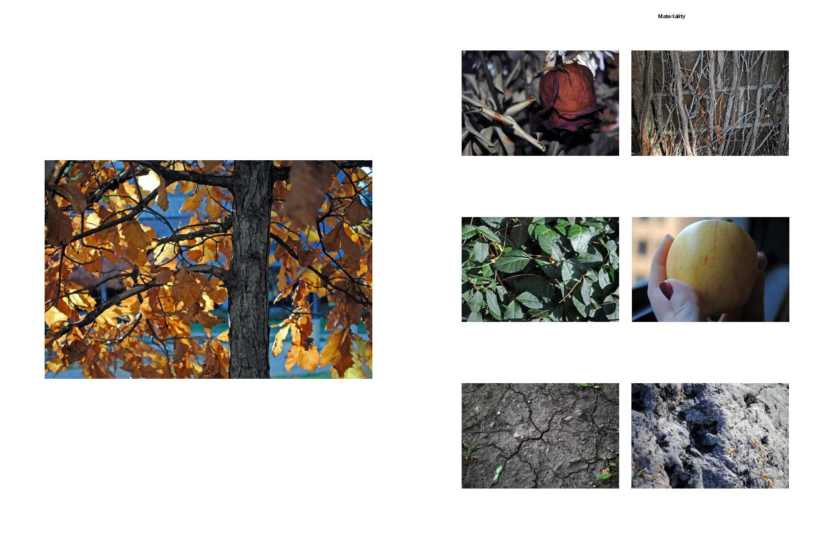 Knight_VisualDiary_PresentationBook1_Page_13.jpg