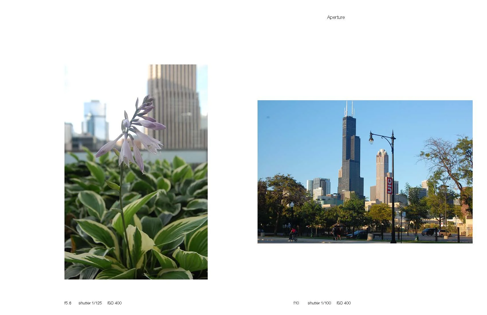 Knight_PresentationBook1_Page_03.jpg