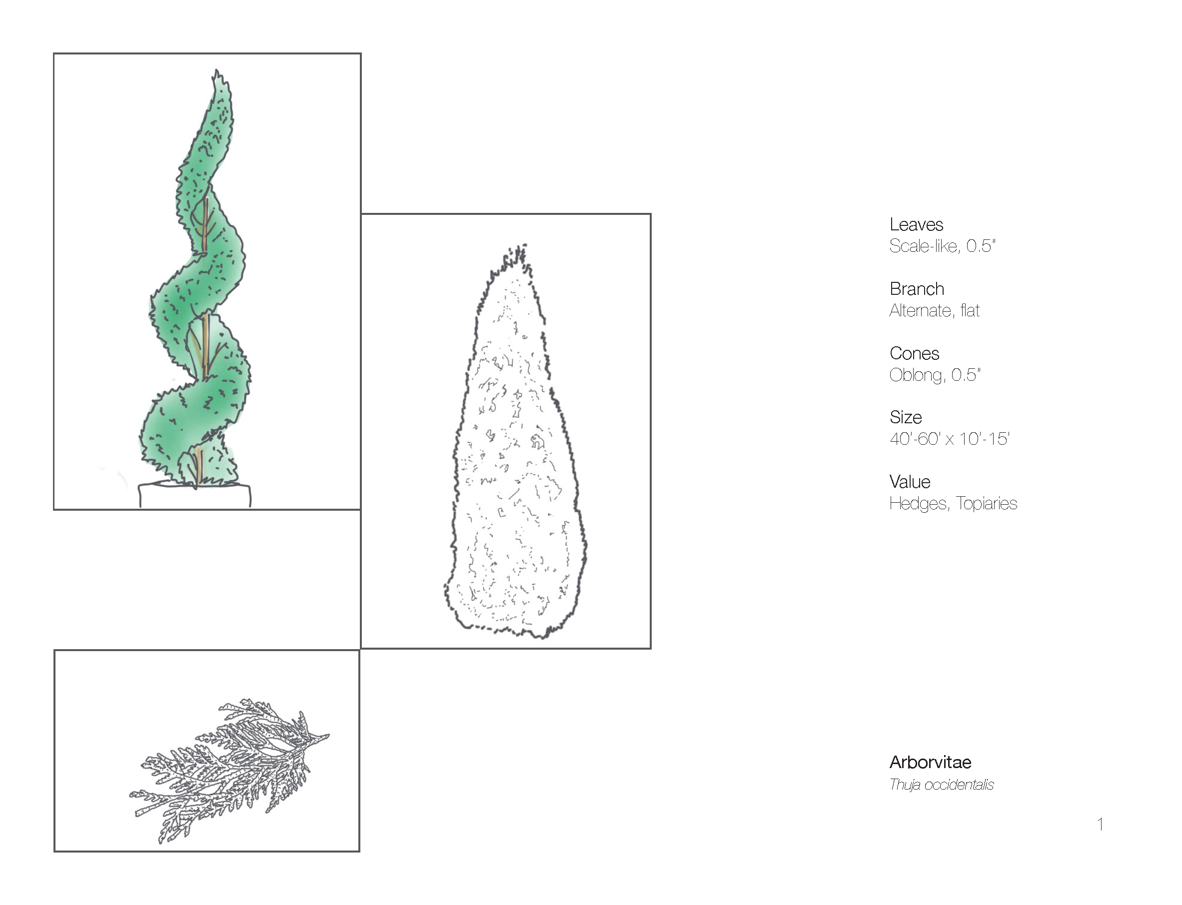 Plant Book_Page_03.png