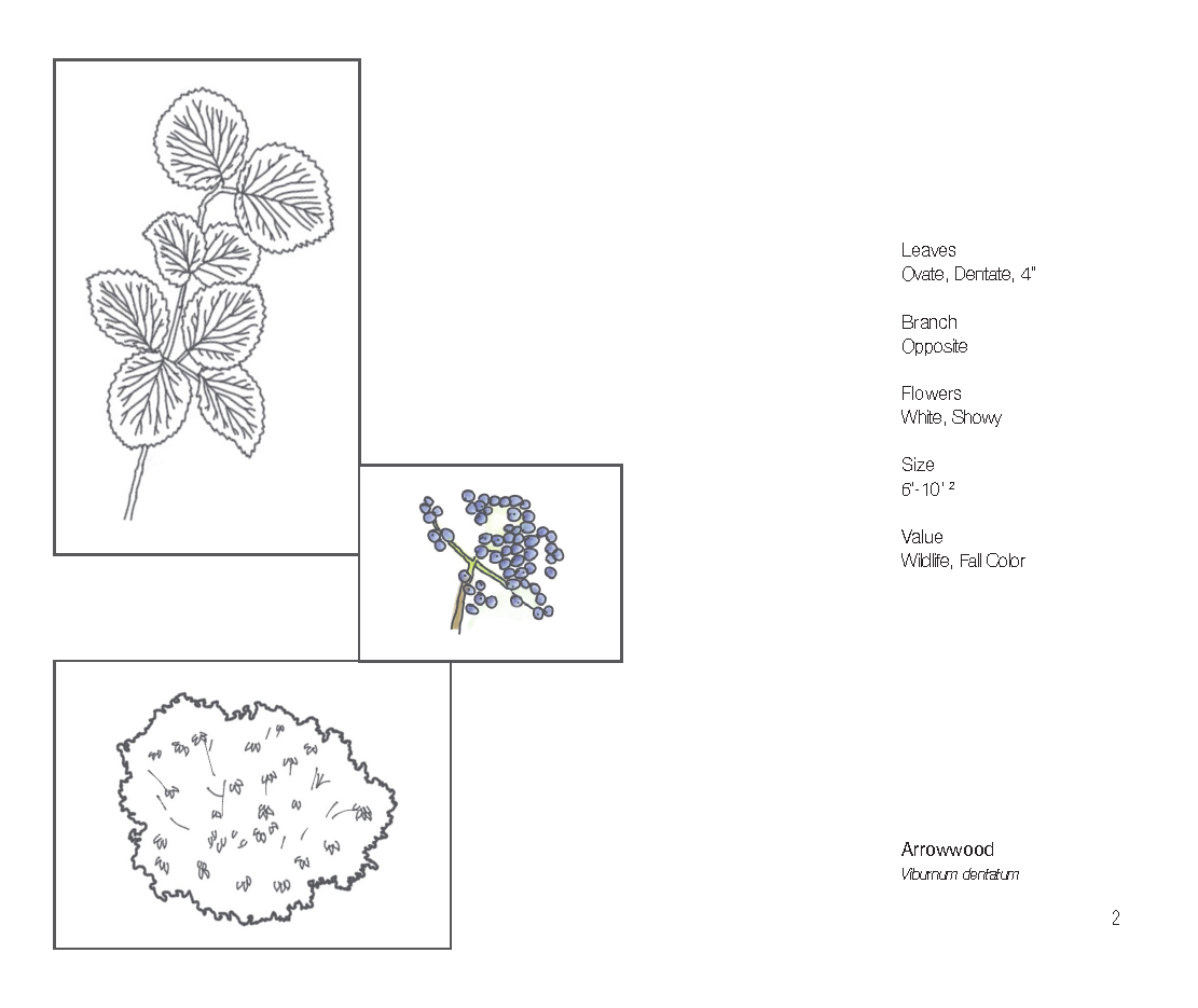 Plant Book_Page_04.png